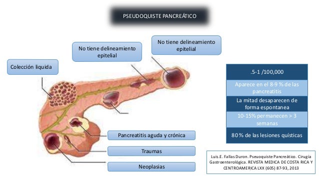 shop fungal cell wall and